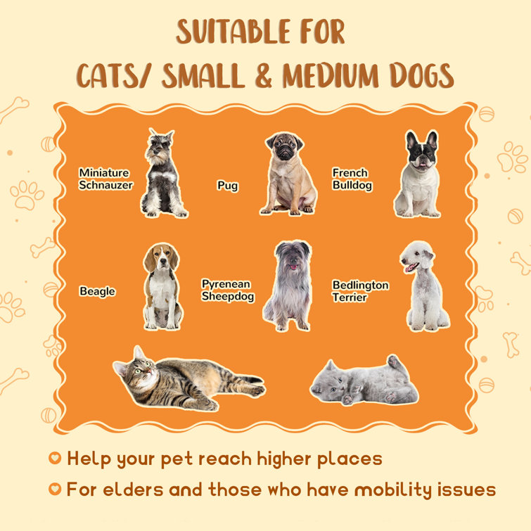 Steps for sales older cats